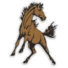 Bronco